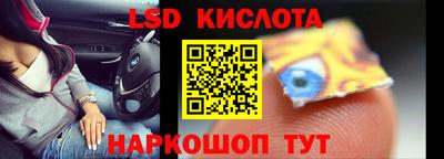 прущие грибы Донецк