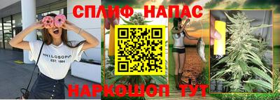 прущие грибы Донецк
