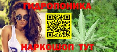 прущие крисы Дубна