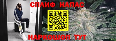 прущие грибы Донецк